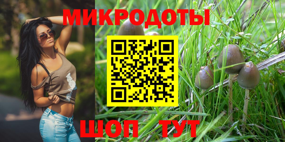 Псилоцибиновые грибы Psilocybe Сергиев Посад